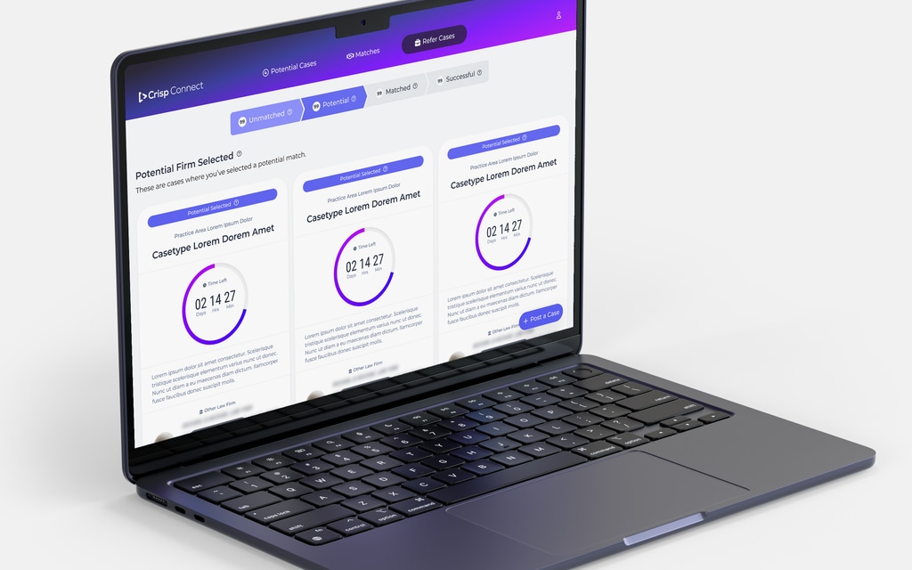 Crisp Connect Potential Match Workflow